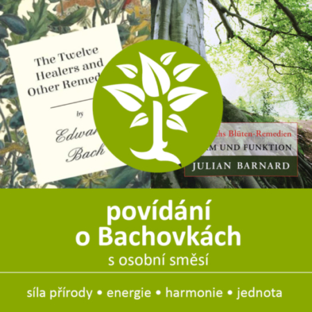 Seznámení se s Bachovými esencemi - Energie rostlin