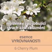 Bachova květová esence 6 – Cherry Plum