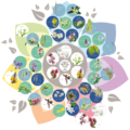 Mandala Bachových květů - přehledně, čistě, s popisy 2021, Energie rostlin