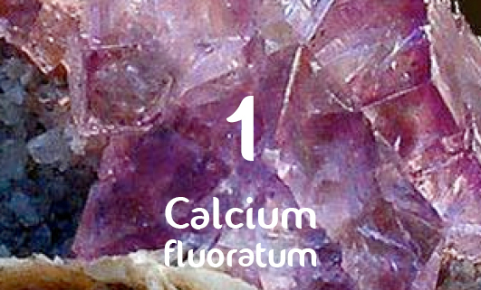 Calcium fluoratum_D12_Dr. Schuessler