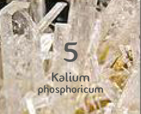 Schüsslerova sůl č. 5 Kalium phosphoricum D6