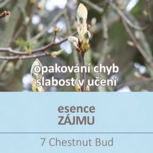 Bachova květová esence 07 – Chestnut Bud