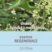 Bachova květová esence 23 – Olive