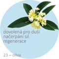 Bachovy kapky â€“ 23 â€“ oliva, Olive