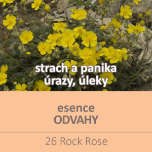 Bachova květová esence 26 – Rock Rose