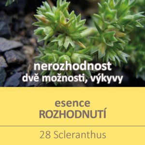 Bachova květová esence 28 – Scleranthus