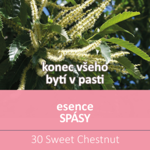 Bachova květová esence 30 – Sweet Chestnut