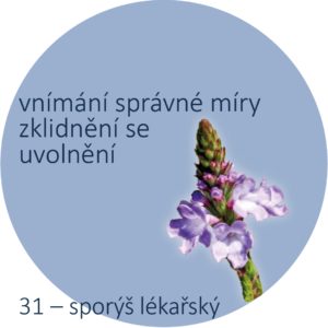 Bachovy kapky – 31 – sporýš lékařský, Vervain