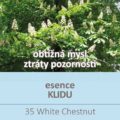 Bachova kvÄ›tovÃ¡ esence 35 â€“ White Chestnut