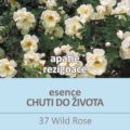 Bachova kvÄ›tovÃ¡ esence 37 â€“ Wild Rose