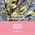 Bachova kvÄ›tovÃ¡ esence 38 â€“ Willow