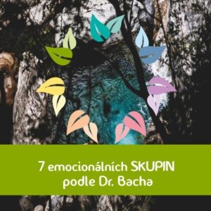 Bachovy esence – 7 emocionálních stavů Dr. Bacha
