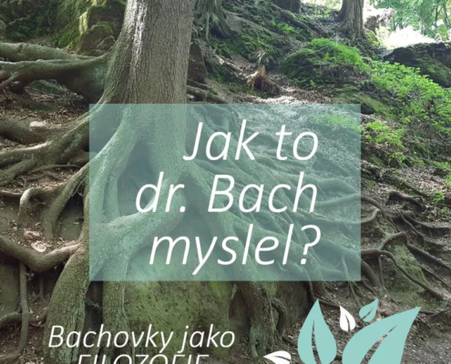 Jak to doktor Bach myslel s esencemi?