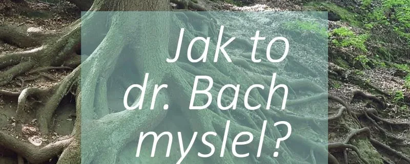 Jak to doktor Bach myslel s esencemi?