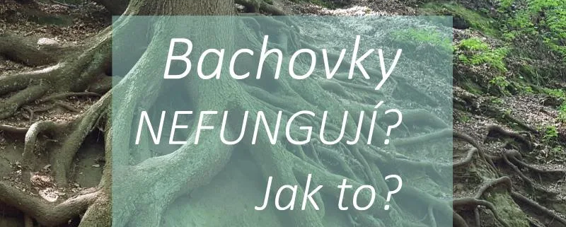 Bachovy kapky: proÄ� nÄ›komu Bachovky nefungujÃ­?