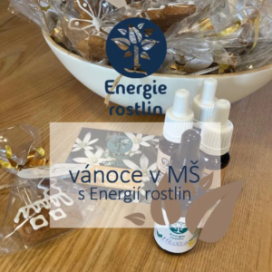 Přispíváme na MŠ - vánoce s dárky - Energie rostlin