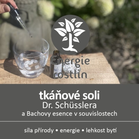 tkáňové soli Dr. Schuesslera a Bachovy esence